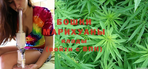 молекула духа Арсеньев