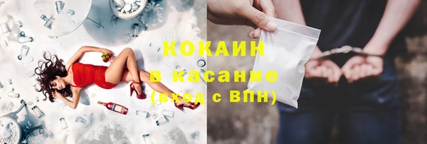 молекула духа Арсеньев