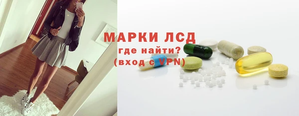 индика Армянск