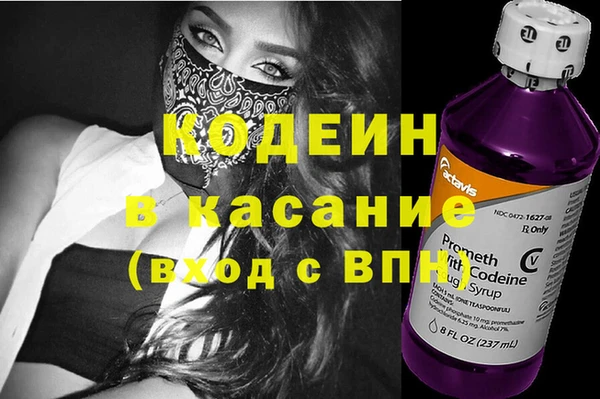 индика Армянск