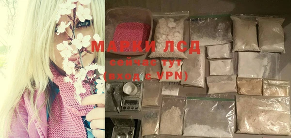 индика Армянск
