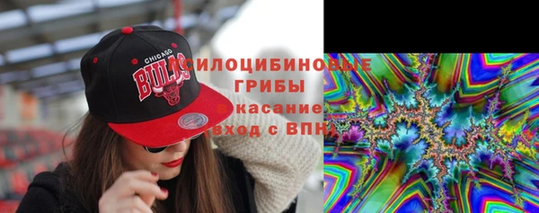 молекула духа Арсеньев