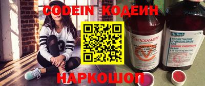 стаф Можга