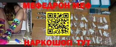 стаф Можга