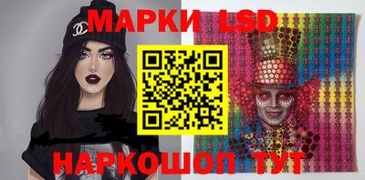 стаф Можга