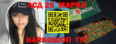 стаф Можга