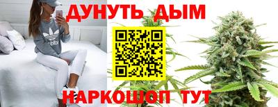 стаф Можга