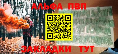 стаф Можга