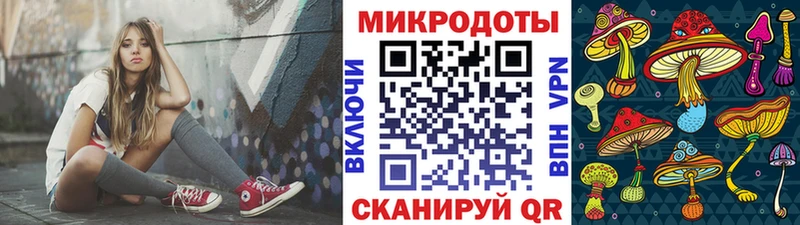 Псилоцибиновые грибы Psilocybine cubensis  Сыктывкар 