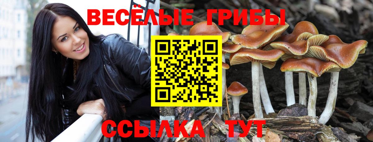 Псилоцибиновые грибы Cubensis  Вход с VPN  Сыктывкар 